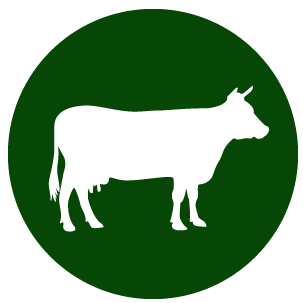 Cow icon