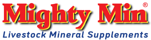 MightyMin® Logo